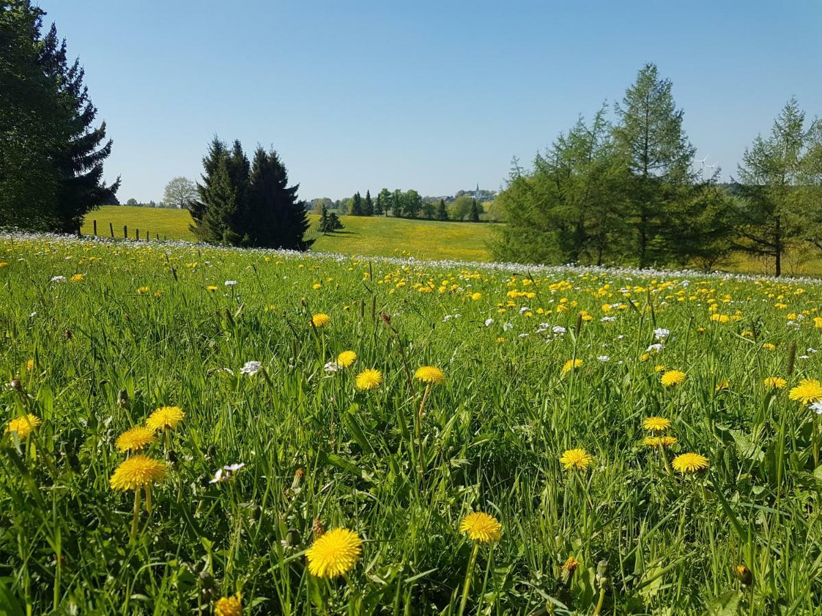 Апартаменти Landhaus Schnorrenberg, Wellness & Nature Гелленталь Екстер'єр фото