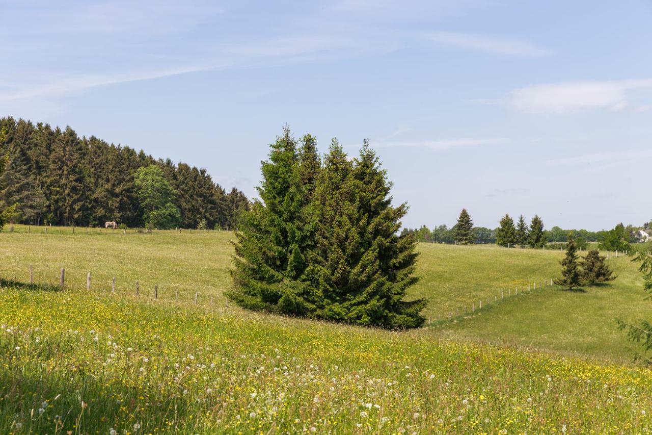 Апартаменти Landhaus Schnorrenberg, Wellness & Nature Гелленталь Екстер'єр фото